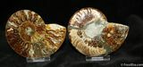 Inch Polished Pair From Madagascar #1284-1